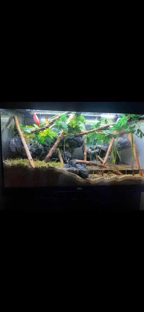 Mooi aquarium!, Dieren en Toebehoren, Vissen | Aquaria en Toebehoren, Zo goed als nieuw, Leeg aquarium, Ophalen