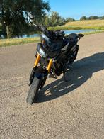 Yamaha MT09 SP, Particulier, Meer dan 35 kW, Naked bike, 900 cc