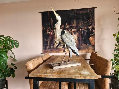 Prachtige opgezetten blauwe reiger (taxiedermie), Huis en Inrichting, Woonaccessoires | Wanddecoraties, Zo goed als nieuw, Ophalen of Verzenden