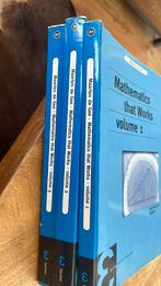 Mathematics that works - 1, 2 en 3, Gelezen, Ophalen of Verzenden, Natuurwetenschap, Maarten de Gee