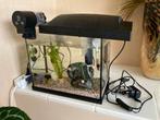 Compleet aquarium 16L, Dieren en Toebehoren, Vissen | Aquaria en Toebehoren, Ophalen of Verzenden, Zo goed als nieuw, Gevuld zoetwateraquarium