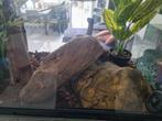 Terrarium merk Bleu-lagoon 100x50x40, Dieren en Toebehoren, Reptielen en Amfibieën | Toebehoren, Ophalen of Verzenden, Zo goed als nieuw