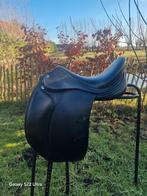 2x Erreplus: Adelinde en DM, Dieren en Toebehoren, Ophalen of Verzenden, Dressuur