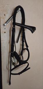 Hoofdstel mt pony, Ophalen of Verzenden