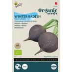 ZADENZAKJE Rammenas (Raphanus sativus ‘Ronde zwarte’) 100% b, Ophalen of Verzenden, Zaad