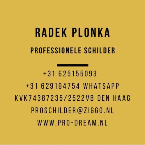 Professionele Schilder, Diensten en Vakmensen, Schilders en Behangers, Binnenschilderwerk, Buitenschilderwerk, Decoratieschilderwerk