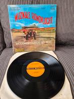 Johnny Hoes - Muzikale Rondvlucht - Accordeon Duo LP, Ophalen of Verzenden, Gebruikt