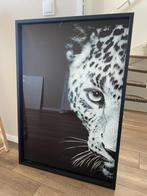 Schilderij Cheetah van Coco Maison. 100x70cm, Ophalen, 50 tot 75 cm, Zo goed als nieuw, Schilderij