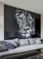 Plexiglas wanddecoratie leeuw en leeuwin, Ophalen, Zo goed als nieuw