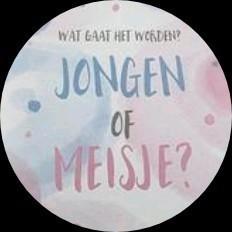 NIEUW ! Gender Reveal Pakket/Artikelen beschikbaar voor biedingen