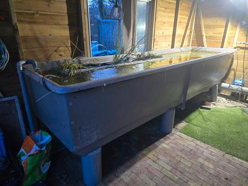 Vijver vis opslag carantene bakken, Tuin en Terras, Vijvers, Zo goed als nieuw, Ophalen