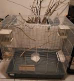 kleine voliere/ mega vogelkooi + toebehoren, Dieren en Toebehoren, Ophalen, Zo goed als nieuw, Metaal, Vogelkooi
