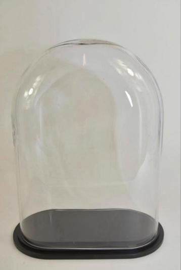 Stolp ovaal XL helder glas beschikbaar voor biedingen