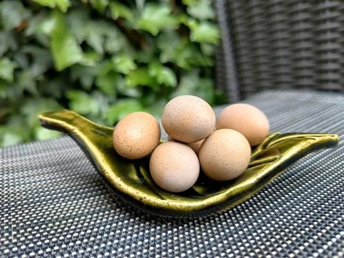 Broedeieren chinese dwergkwartels, Dieren en Toebehoren, Pluimvee, Overige soorten, Meerdere dieren