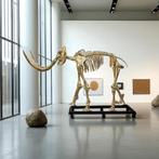 "Genus Mammuthus" - Mammoth Skeleton Mammoet Skelet Replc., Antiek en Kunst, Ophalen of Verzenden