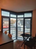 Raambekleding , 2 grote jaloezieën, Huis en Inrichting, Woonaccessoires | Overige, Ophalen of Verzenden, Nieuw