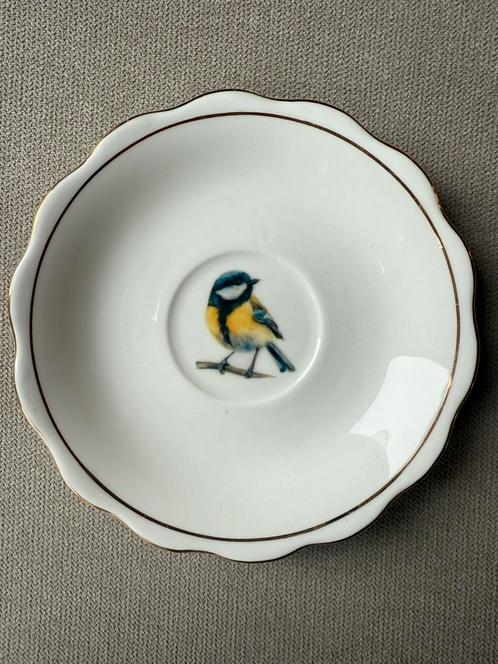 Vintage fine bone China porseleinen bordje koolmees, Antiek en Kunst, Antiek | Wandborden en Tegels, Ophalen of Verzenden