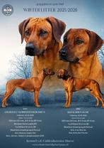 Rhodesian Ridgeback nest gepland, Overige rassen, 8 tot 15 weken, Meerdere dieren, Eén hond