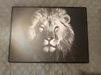 2 mooie foto’s van 38x28cm leeuw en panter, Ophalen of Verzenden, Zo goed als nieuw, Schilderij, Minder dan 50 cm