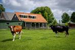 Vakantiehuis 10-12 personen, 12 personen, 4 of meer slaapkamers, Zuid-Holland, Dorp