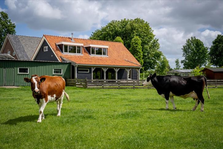 Vakantiehuis 10-12 personen, Vakantie, Vakantiehuizen | Nederland, Zuid-Holland, Boerderij of Cottage, Dorp, 4 of meer slaapkamers