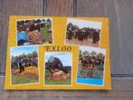 Exloo, schaapsscheerdersfeest, Ophalen of Verzenden, Gelopen, Drenthe