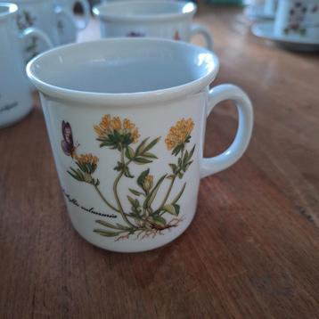 Mokken Kronester bavaria bloemen beschikbaar voor biedingen