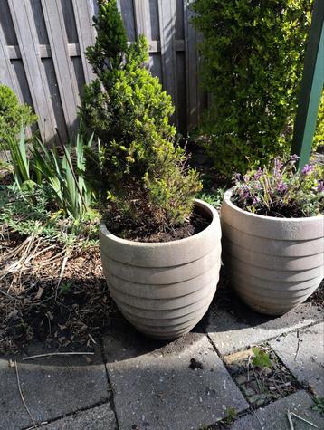 Bloempotten voor buiten beschikbaar voor biedingen