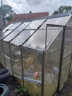 Kweekkas, Ophalen of Verzenden, Glas, Zo goed als nieuw