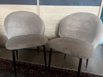Twee fluwelen stoelen beige van Homestock beschikbaar voor biedingen