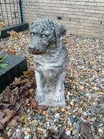 Te koop, Tuin en Terras, Ophalen