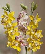 Twee takken met gele en één tak met roze orchideeën bloemen, Ophalen of Verzenden, Zo goed als nieuw