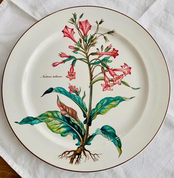 Groot Bord Villeroy & Boch Nicotiana tabacum (tabaksplant) beschikbaar voor biedingen