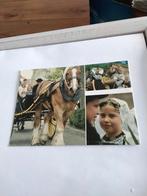 ZEELAND.  KLEDERDRACHT. PAARD EN WAGEN, Ophalen of Verzenden, Voor 1920, Zeeland