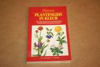 Plantengids in kleur - Thieme - T.H. Schauer, C. Caspari, Boeken, Natuur, Ophalen of Verzenden, Zo goed als nieuw