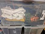 Babykleding maat 74  Diverse kleding maat 74  Zonder de bakk, Ophalen of Verzenden, Zo goed als nieuw, Jongetje