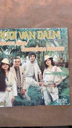 Hitnr.! Singel RUDI van DALM: “Somewhere Between”, Ophalen of Verzenden, Gebruikt, Overige formaten, Levenslied of Smartlap