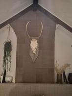 Mooie skull op steigerhout, Ophalen of Verzenden, Zo goed als nieuw