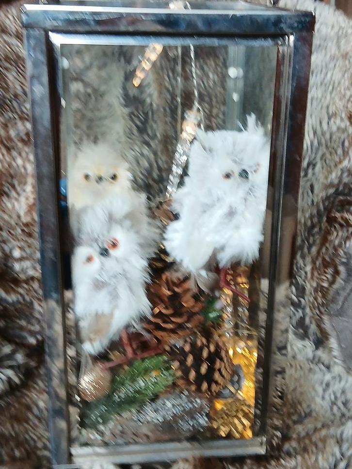 Grote lantaarn met 3 fluffie uiltjes en pegelverlichting, Diversen, Kerst, Ophalen