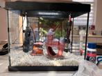 Compleet aquarium 16L, Ophalen, Zo goed als nieuw, Leeg aquarium