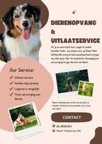 Huisdieren oppas, Uitlaatservice