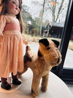 ++ Leuke koopjes, antieke pop en andere spulletjes ++, Ophalen of Verzenden