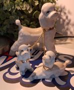 Poedel met jongen, Ophalen of Verzenden, Zo goed als nieuw, Dier