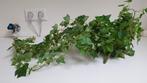Kunstplant groene klimop hedera hangplant / tak, Ophalen of Verzenden