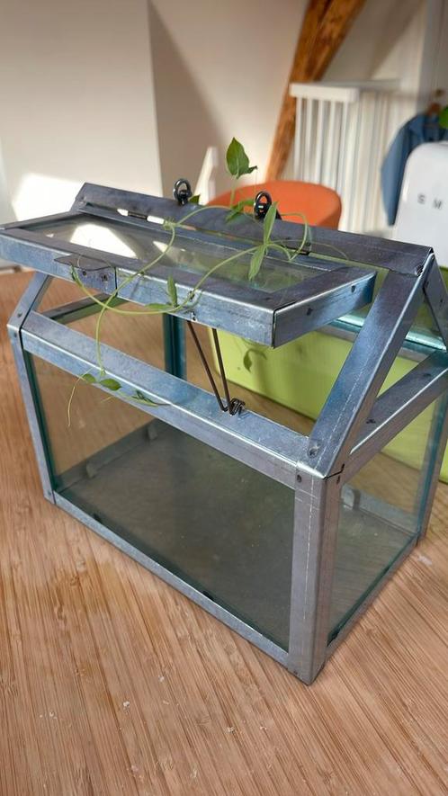 Leuk glazen mini kas voor planten, Tuin en Terras, Kassen, Glas, Ophalen