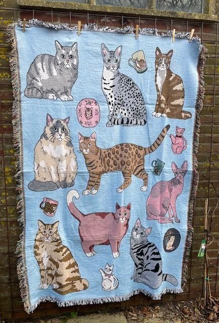 Plaid Design Throw blanket  Sierdeken, Huis en Inrichting, Woonaccessoires | Plaids en Woondekens, Zo goed als nieuw, Ophalen of Verzenden