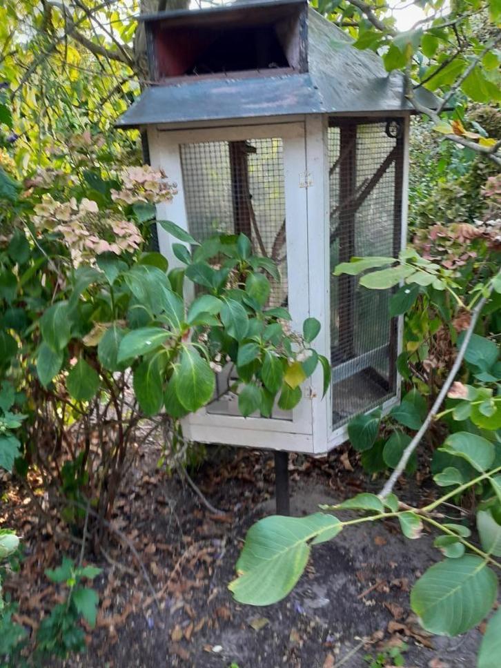 vogelkooi, volieren, kanarie kooi, duiven, dierenverblijf, Dieren en Toebehoren, Vogels | Hokken en Kooien, Gebruikt, Vogelkooi