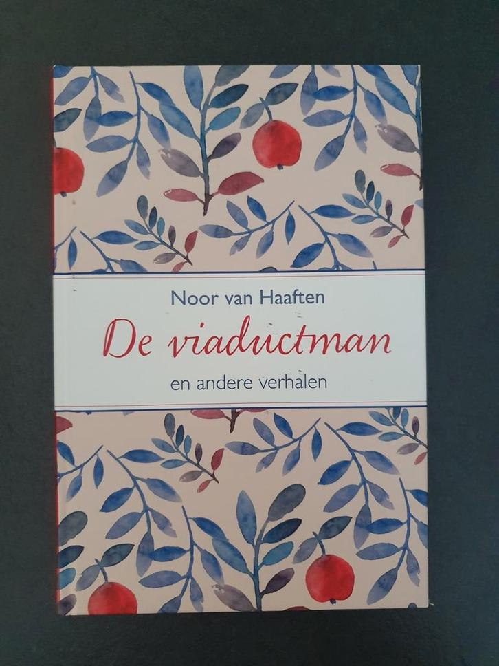 Noor van Haaften - De viaductman, Boeken, Overige Boeken, Zo goed als nieuw, Ophalen of Verzenden