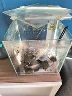 Superfish cube 30L aquarium met toebehoren, Dieren en Toebehoren, Vissen | Aquaria en Toebehoren, Ophalen, Gebruikt, Leeg aquarium