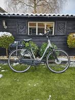 Sparta f8e electrice fiets, Fietsen en Brommers, Elektrische fietsen, Sparta, Gebruikt, Ophalen of Verzenden, 55 tot 59 cm